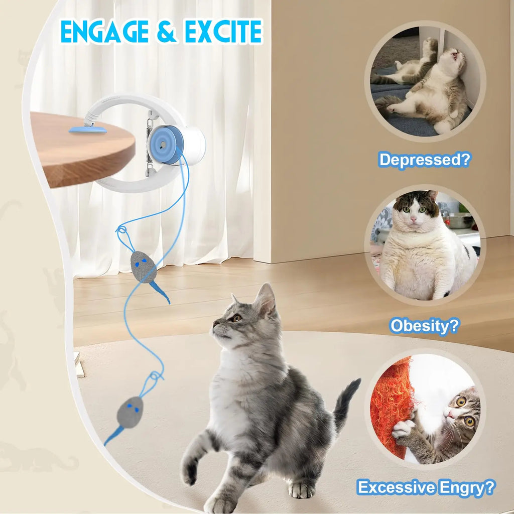 🐾 Door-Hanging Auto-Rebound Cat Toy – Elektrisches Tür-Spielzeug für Katzen | Automatisches Auf/Ab, Catnip-Mäuse & USB-Aufladung