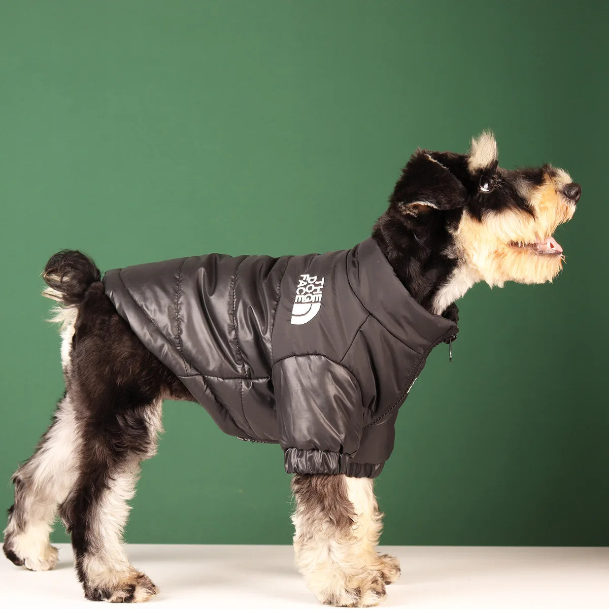 🐾 Winter Dog Jacket – Warme & Winddichte Hundejacke für kleine & mittelgroße Hunde | Reflektierende Wintermantel für French Bulldog, Chihuahua & Co.