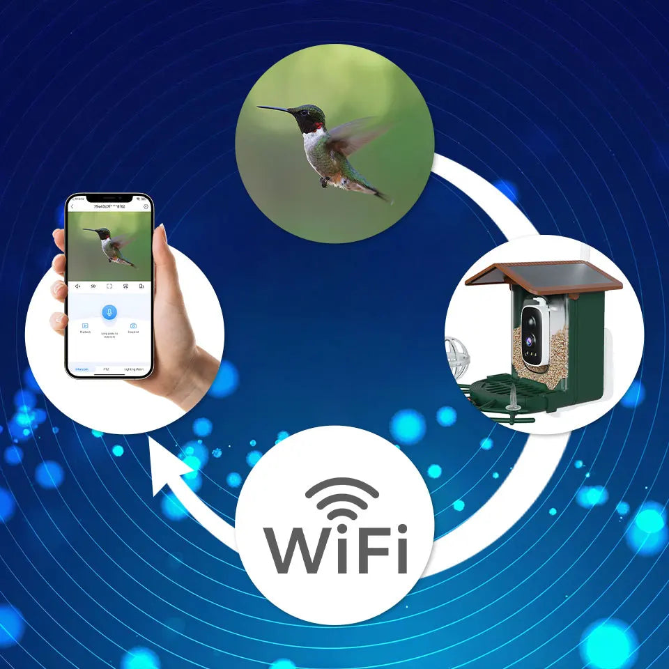 🦜 Solar Bird Feeder Camera – 4MP 2K HD Vogelhaus-Kamera mit WiFi, Nachtsicht & Bewegungserkennung | Solar Betrieben für Birdwatching