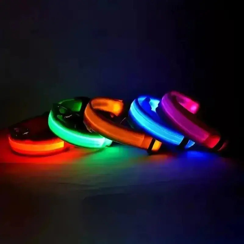 LED Hundehalsband & Leine – Leuchtendes Nylon Sicherheitsband | Glow-in-the-Dark Halsband für Hunde – Sichtbarkeit bei Nacht PawPaw