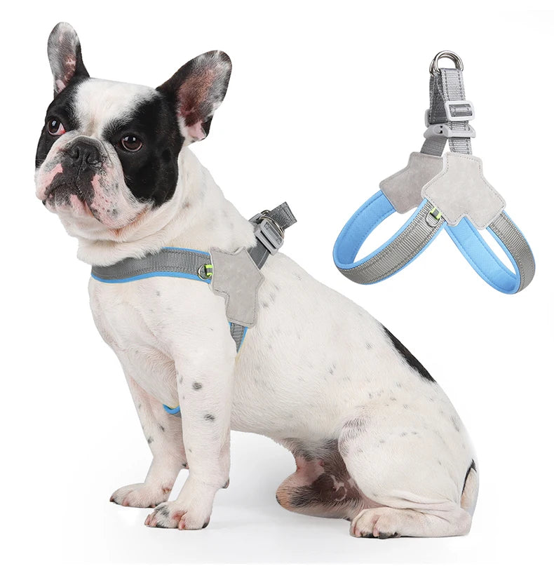 🐾 Reflective No-Pull Dog Harness – Bequemer Brustgurt für kleine & mittelgroße Hunde | Sicheres, rutschfestes Geschirr für Pug, Chihuahua & Co.