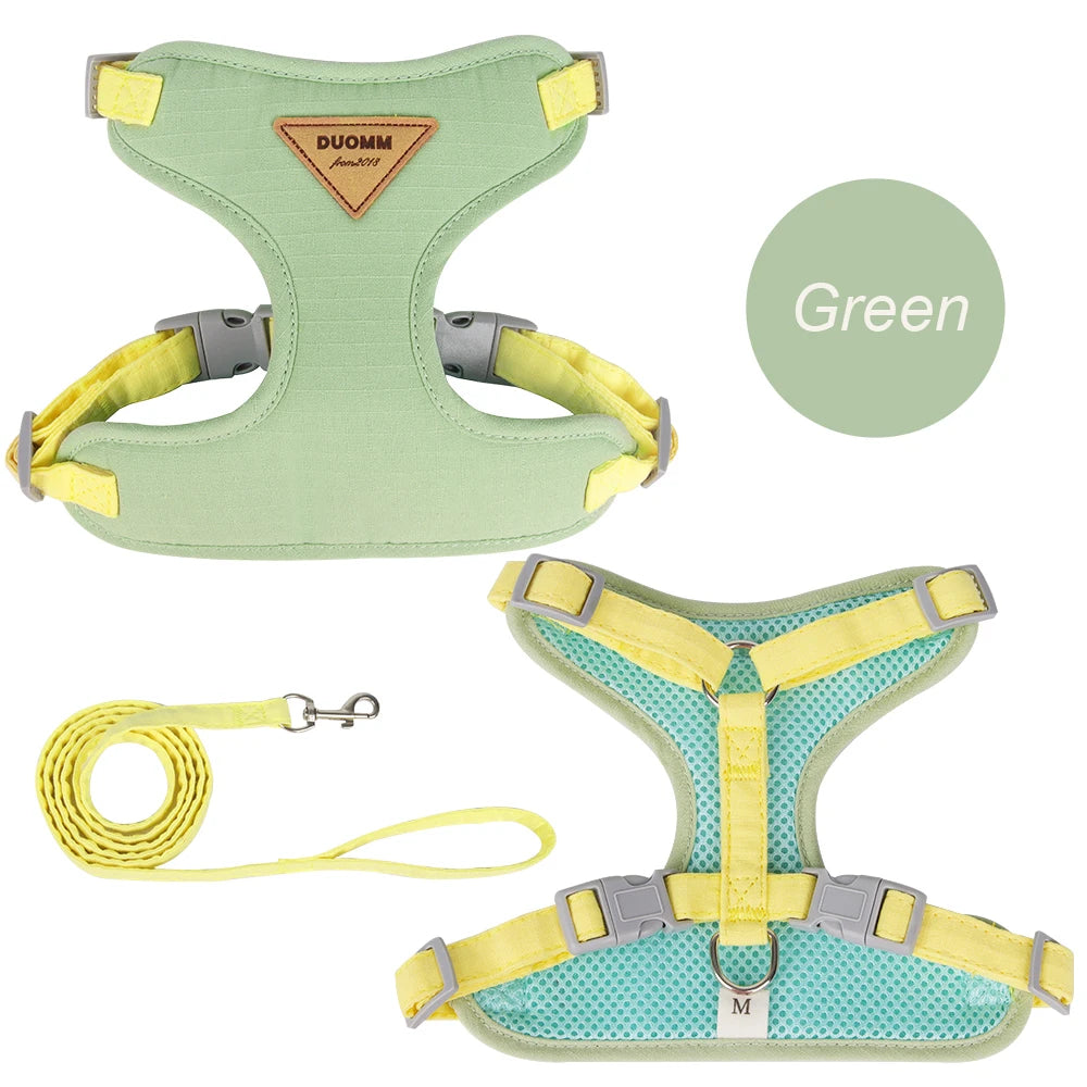 🐾 Pet Harness & Leash Set – Atmungsaktives Geschirr für Katzen & kleine Hunde | Komfortables Outdoor-Set für Kitten & Welpen
