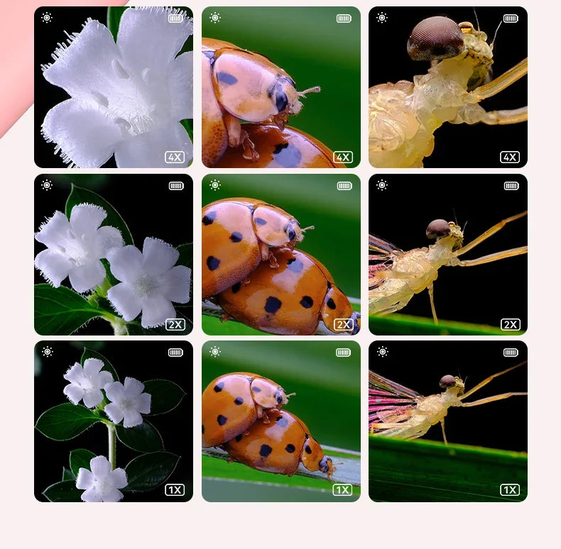 🔬 Mini Kids Optical Microscope – 500X Kinder-Mikroskop mit Foto- & Video-Funktion | Wissenschaft & Lernspielzeug für kleine Entdecker