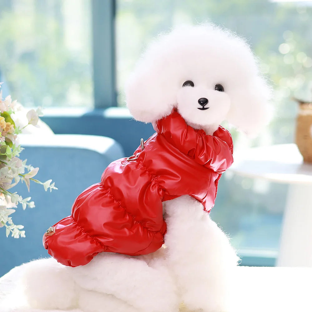 Weiche Winter Hundejacke – Gepolsterter Warmmantel für kleine & mittelgroße Hunde | Chihuahua, French Bulldog & Katzen geeignet | Herbst/Winter