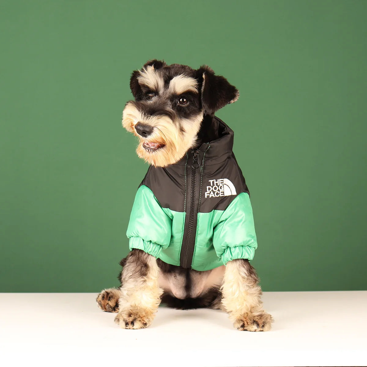 🐾 Winter Dog Jacket – Warme & Winddichte Hundejacke für kleine & mittelgroße Hunde | Reflektierende Wintermantel für French Bulldog, Chihuahua & Co.