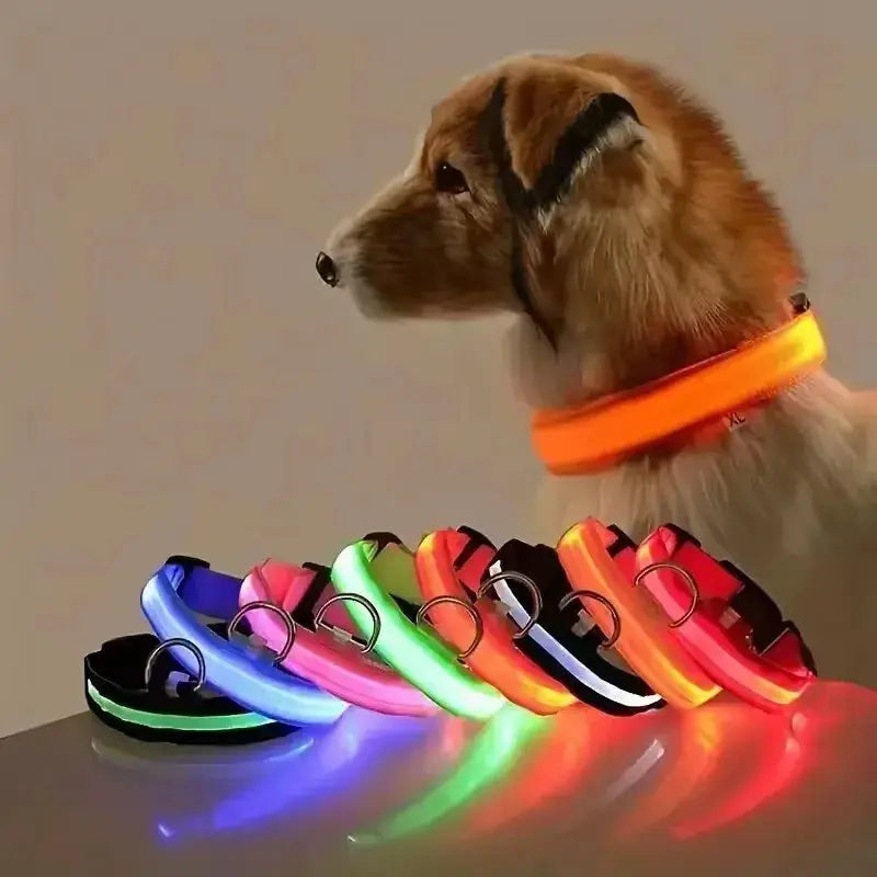 LED Hundehalsband & Leine – Leuchtendes Nylon Sicherheitsband | Glow-in-the-Dark Halsband für Hunde – Sichtbarkeit bei Nacht PawPaw