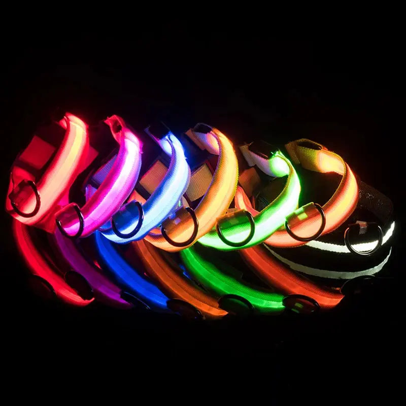 LED Hundehalsband & Leine – Leuchtendes Nylon Sicherheitsband | Glow-in-the-Dark Halsband für Hunde – Sichtbarkeit bei Nacht PawPaw