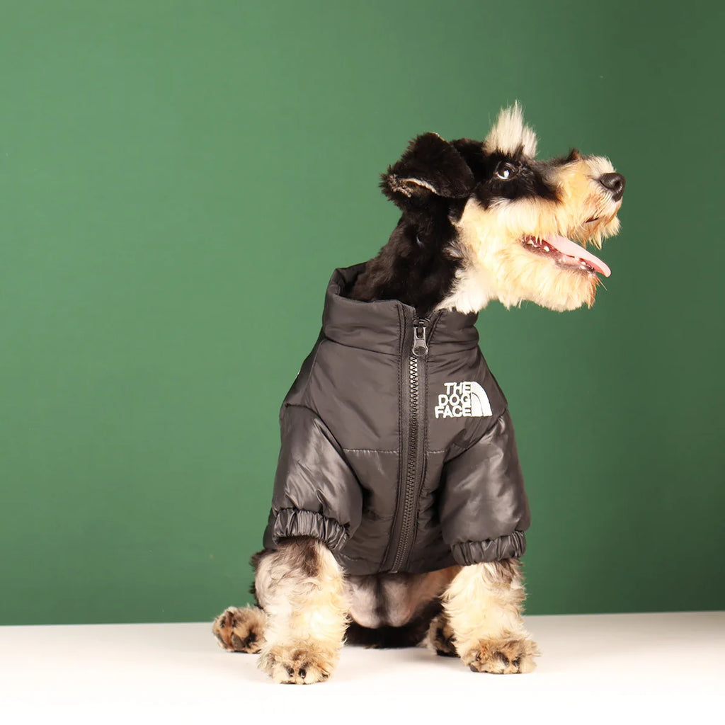🐾 Winter Dog Jacket – Warme & Winddichte Hundejacke für kleine & mittelgroße Hunde | Reflektierende Wintermantel für French Bulldog, Chihuahua & Co.