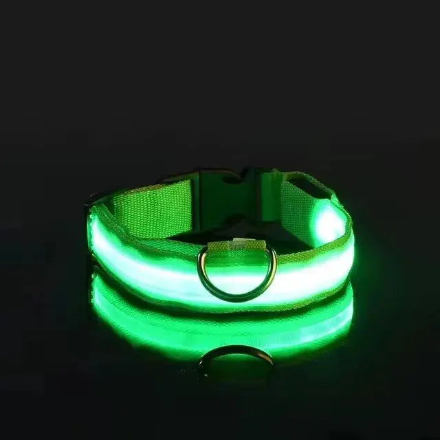LED Hundehalsband & Leine – Leuchtendes Nylon Sicherheitsband | Glow-in-the-Dark Halsband für Hunde – Sichtbarkeit bei Nacht PawPaw