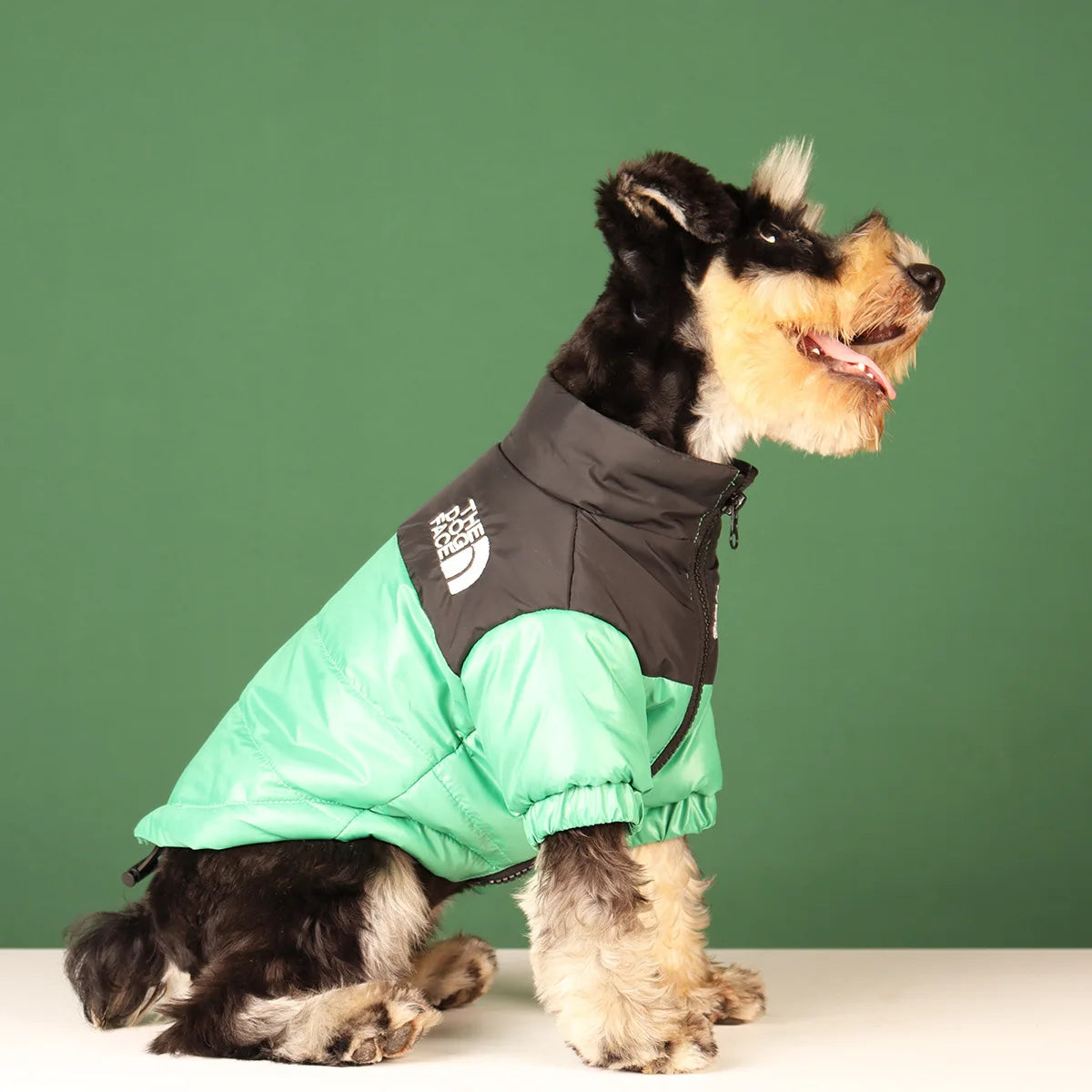 🐾 Winter Dog Jacket – Warme & Winddichte Hundejacke für kleine & mittelgroße Hunde | Reflektierende Wintermantel für French Bulldog, Chihuahua & Co.