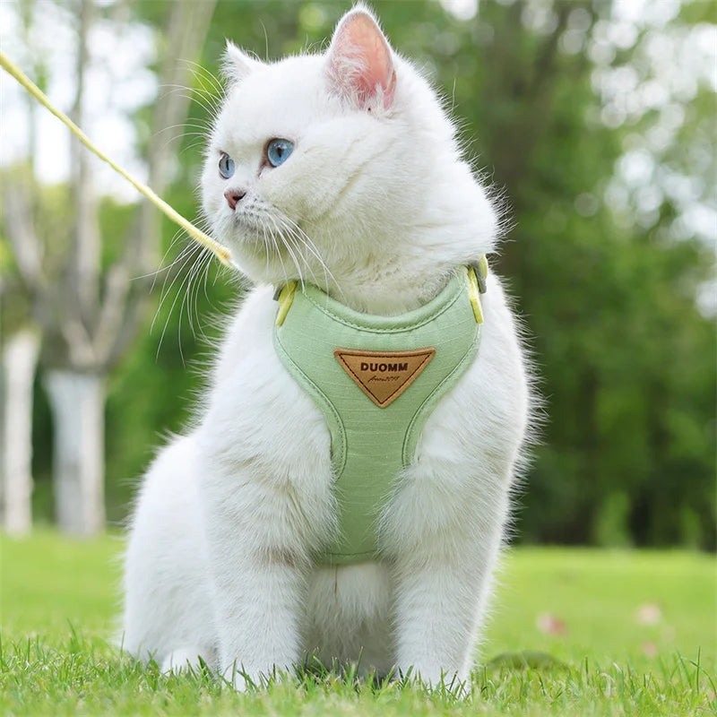🐾 Pet Harness & Leash Set – Atmungsaktives Geschirr für Katzen & kleine Hunde | Komfortables Outdoor-Set für Kitten & Welpen