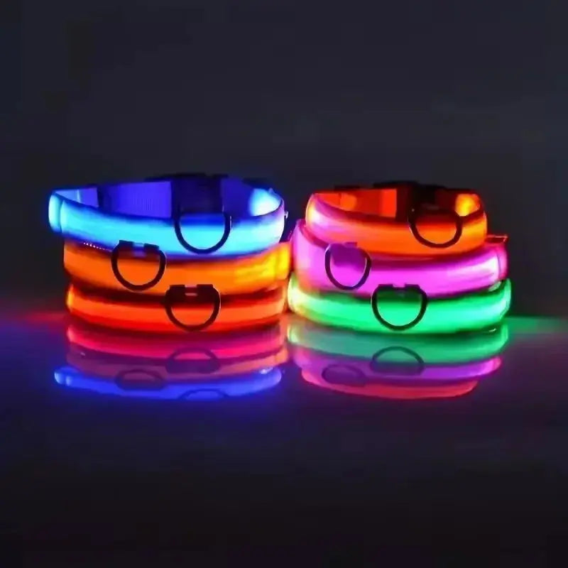 LED Hundehalsband & Leine – Leuchtendes Nylon Sicherheitsband | Glow-in-the-Dark Halsband für Hunde – Sichtbarkeit bei Nacht PawPaw