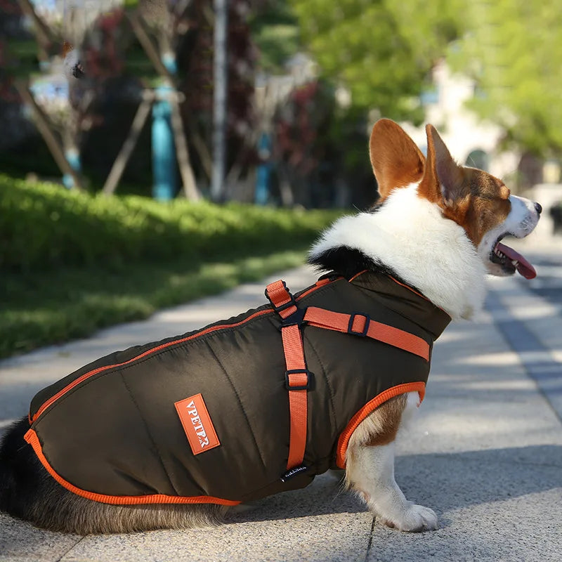 🐾 Waterproof Winter Puppy Jacket – Warme Hundejacke mit integriertem Geschirr | Für kleine Hunde wie Chihuahua, Yorkie & French Bulldog