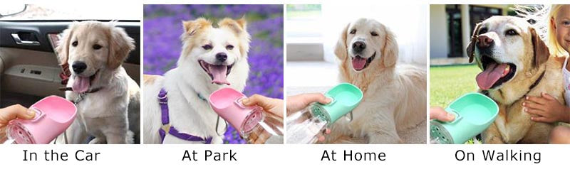 🐾 Portable Dog Water Bottle – Auslaufsichere Trinkflasche für Hunde & Katzen | Outdoor Reise-Wasserbehälter für kleine & große Hunde
