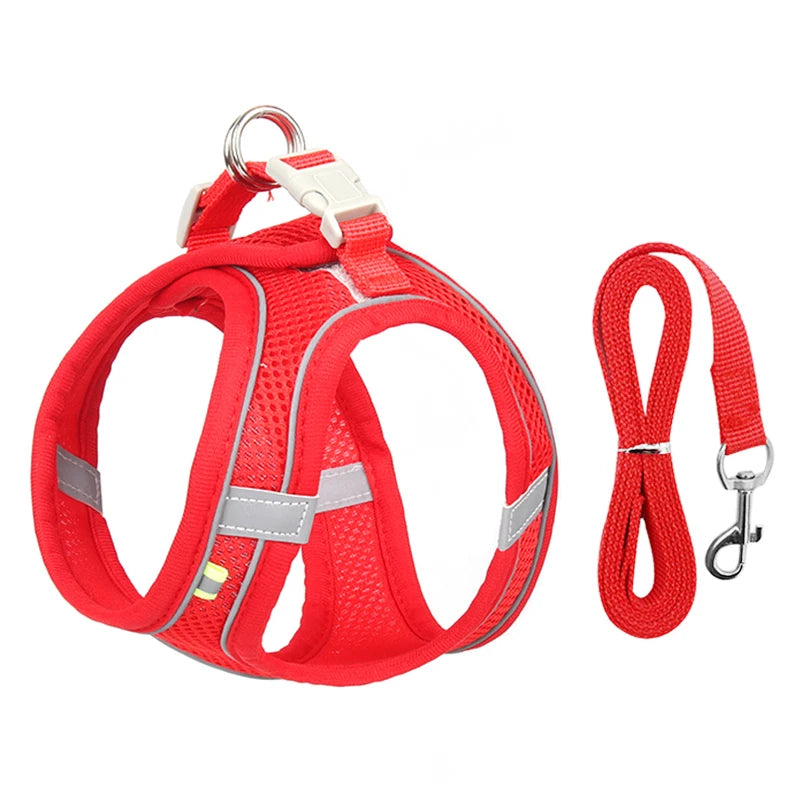 🐾 Reflective No-Pull Dog Harness – Bequemer Brustgurt für kleine & mittelgroße Hunde | Sicheres, rutschfestes Geschirr für Pug, Chihuahua & Co.