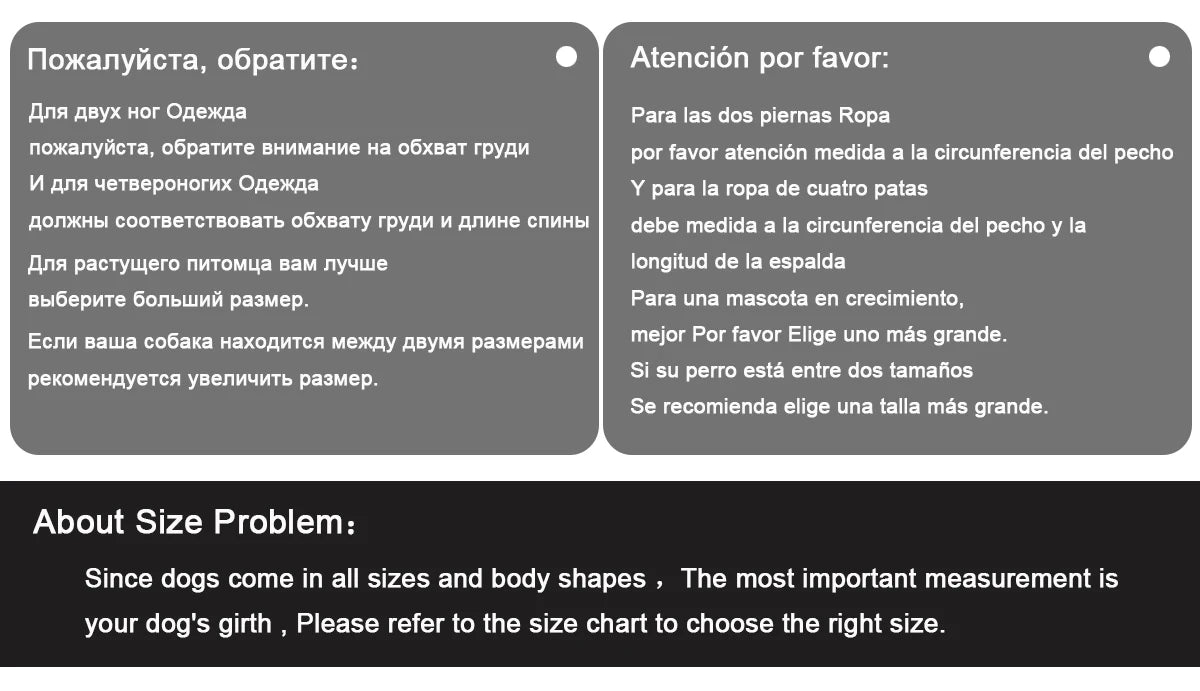 🐾 Winter Dog Jacket – Warme & Winddichte Hundejacke für kleine & mittelgroße Hunde | Reflektierende Wintermantel für French Bulldog, Chihuahua & Co.