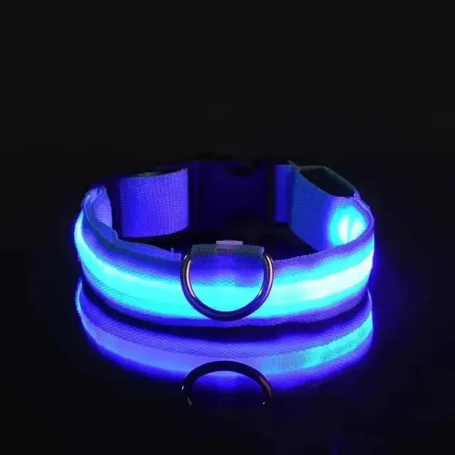 LED Hundehalsband & Leine – Leuchtendes Nylon Sicherheitsband | Glow-in-the-Dark Halsband für Hunde – Sichtbarkeit bei Nacht PawPaw
