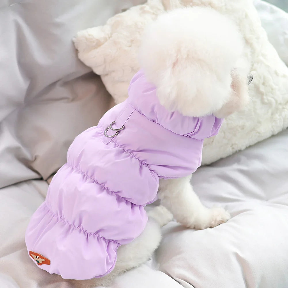 Weiche Winter Hundejacke – Gepolsterter Warmmantel für kleine & mittelgroße Hunde | Chihuahua, French Bulldog & Katzen geeignet | Herbst/Winter
