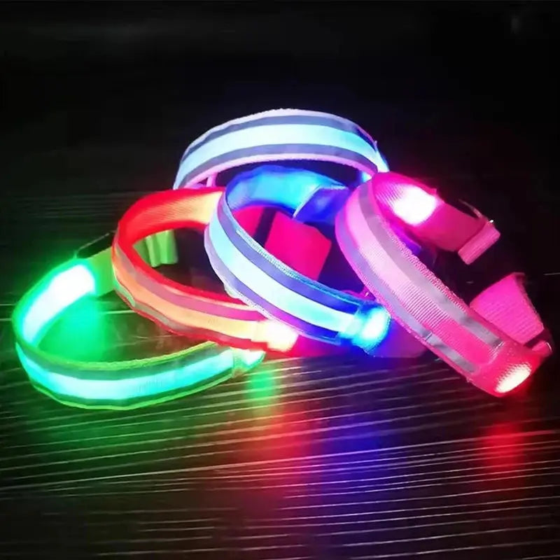 LED Hundehalsband & Leine – Leuchtendes Nylon Sicherheitsband | Glow-in-the-Dark Halsband für Hunde – Sichtbarkeit bei Nacht PawPaw
