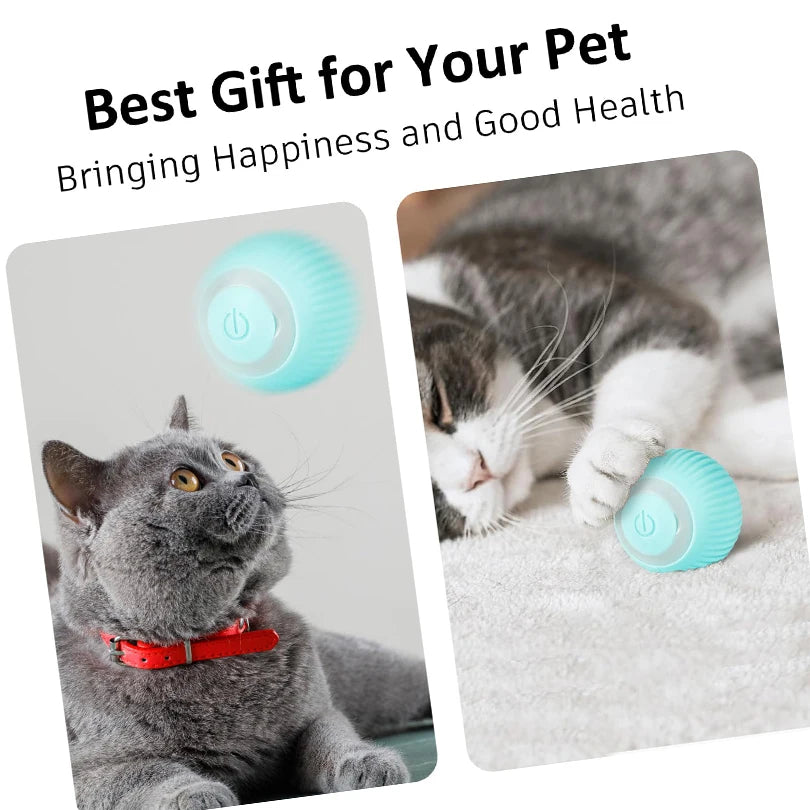 🐾 Interactive Motion Cat Toy Ball – Schnell rollender Hide-and-Seek Spielball für Wohnungskatzen | Bewegungsaktiviert & im Beutel versteckt