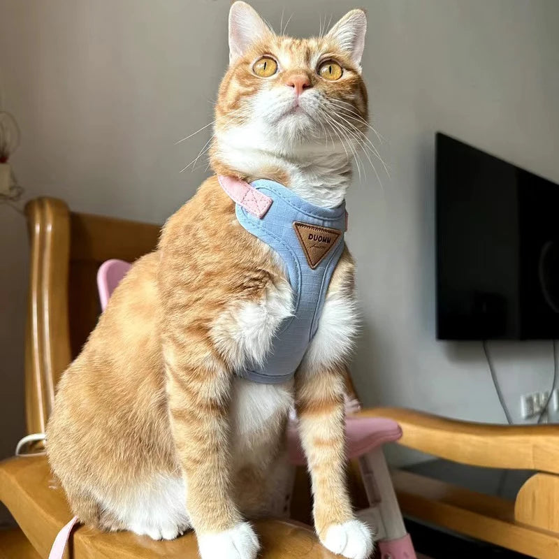 🐾 Pet Harness & Leash Set – Atmungsaktives Geschirr für Katzen & kleine Hunde | Komfortables Outdoor-Set für Kitten & Welpen