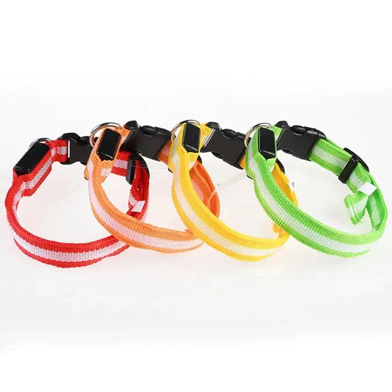 LED Hundehalsband & Leine – Leuchtendes Nylon Sicherheitsband | Glow-in-the-Dark Halsband für Hunde – Sichtbarkeit bei Nacht PawPaw