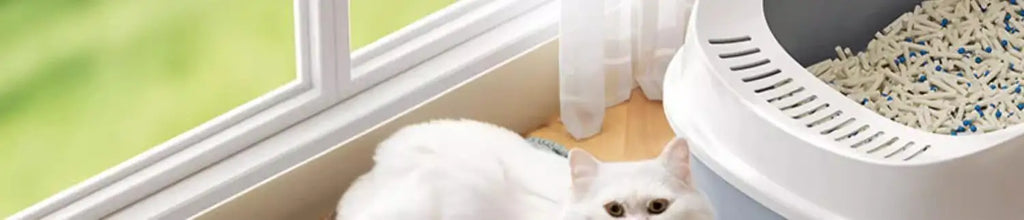 🐾 Extra Large Cat Litter Mat – XXL Katzenstreumatte | 2-lagig, wasserdicht, rutschfest & waschbar – Anti-Streu Bodenmatte für Katzentoiletten