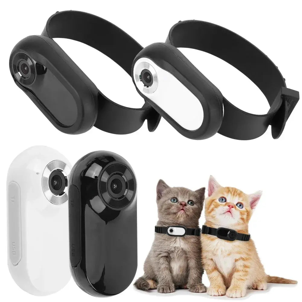 HD 1080P Haustier-Kamera Halsband – Ohne WLAN | Kamera für Hunde & Katzen | Sport- & Action-Cam zur Videoaufnahme unterwegs PawPaw