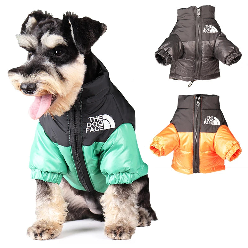 🐾 Winter Dog Jacket – Warme & Winddichte Hundejacke für kleine & mittelgroße Hunde | Reflektierende Wintermantel für French Bulldog, Chihuahua & Co.
