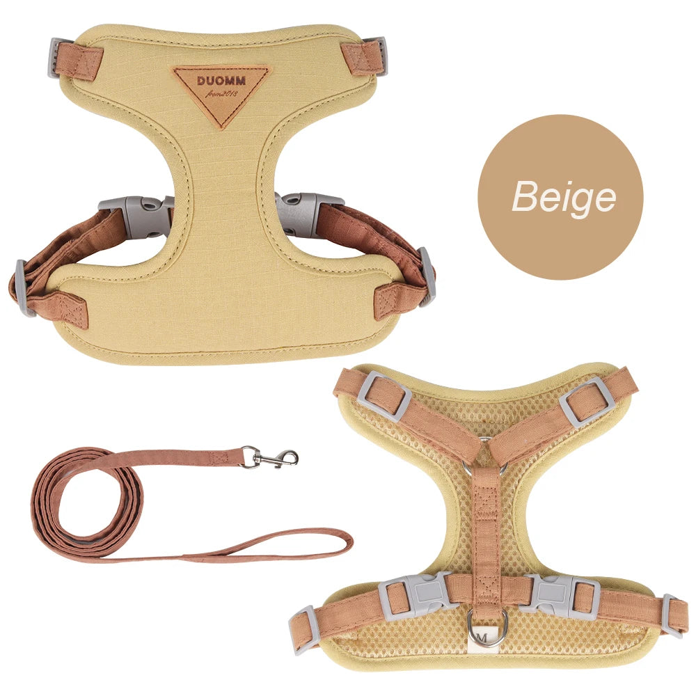 🐾 Pet Harness & Leash Set – Atmungsaktives Geschirr für Katzen & kleine Hunde | Komfortables Outdoor-Set für Kitten & Welpen
